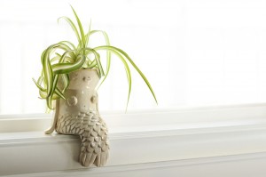 Mermaid_Ledge_Planter_Pottery_10