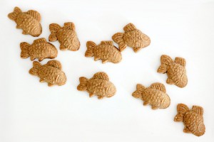 SpeculaasCookiesWoodMold09