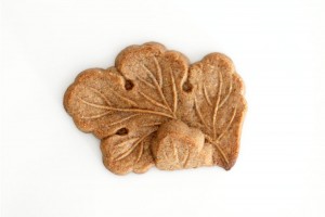 SpeculaasCookiesWoodMold10